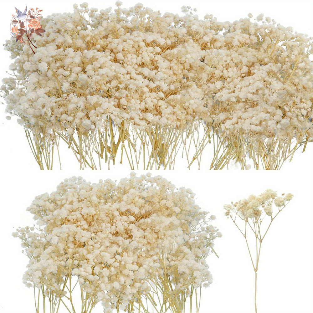 Candle Making Los Angeles - Mini getrocknete Gypsophila-Blume, DIY-Aromatherapie-Kerzenmaterial, Heimdekoration, ewige
