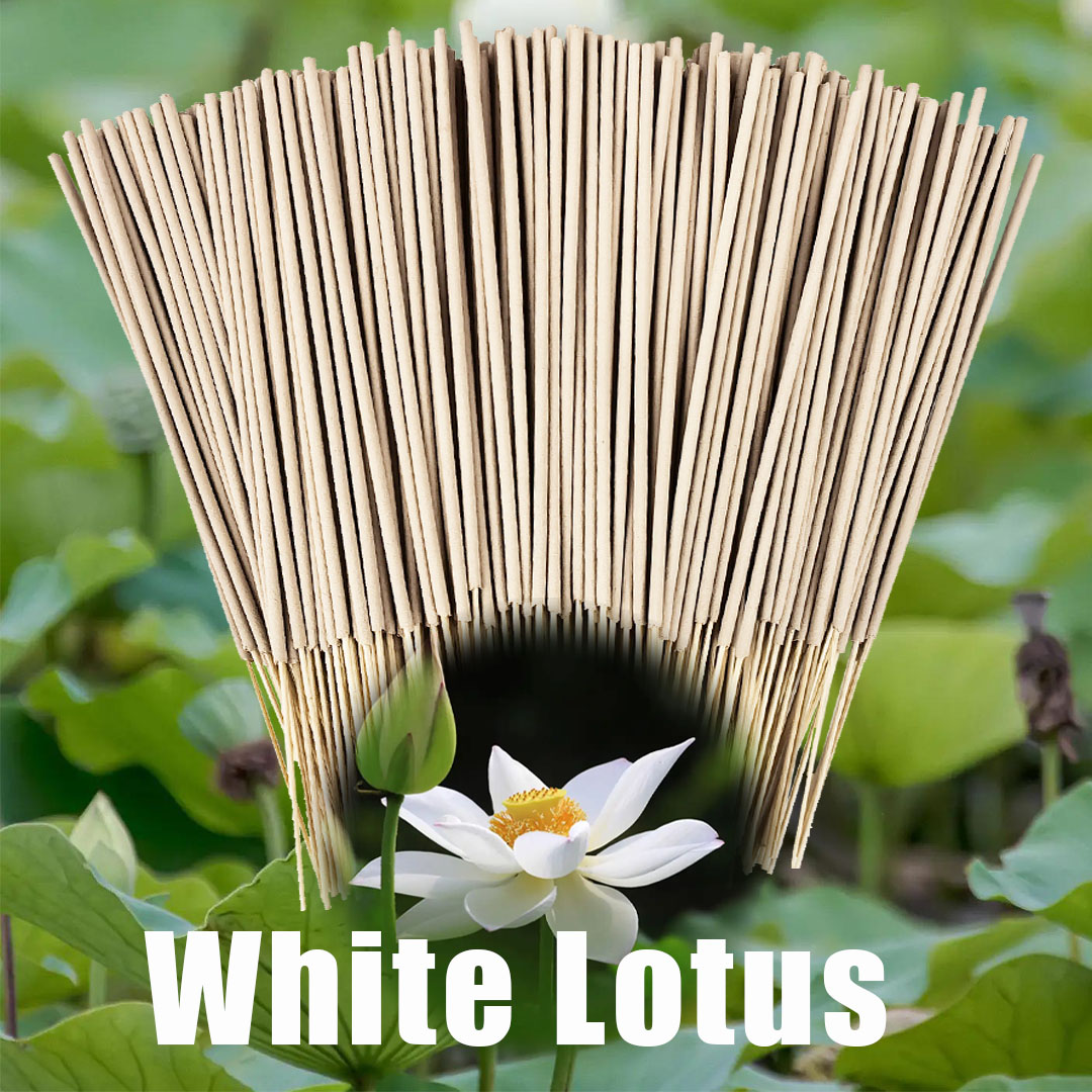 Candle Making Los Angeles - Hochwertige cremefarbene 8,7-Zoll-Räucherstäbchen aus weißem Lotus,
